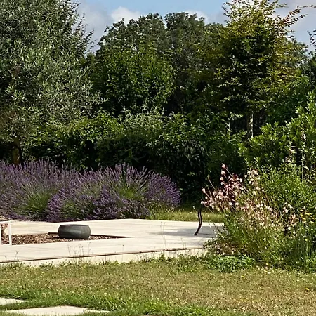 La Chaumeauniere לינה וארוחת בוקר Aigrefeuille-dʼAunis