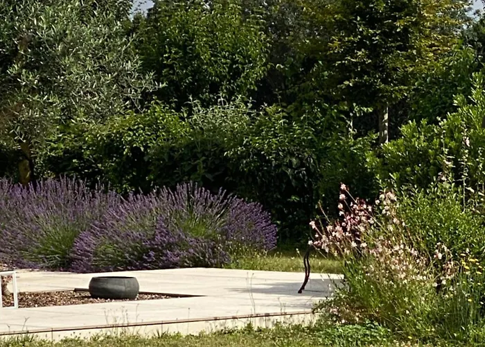 La Chaumeauniere Bed and breakfast Aigrefeuille-dʼAunis