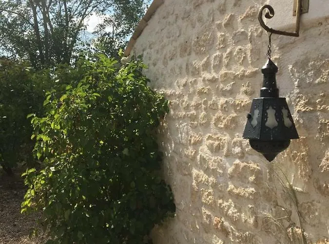 Bed and breakfast La Chaumeauniere 3*